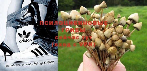 прущие крисы Армянск